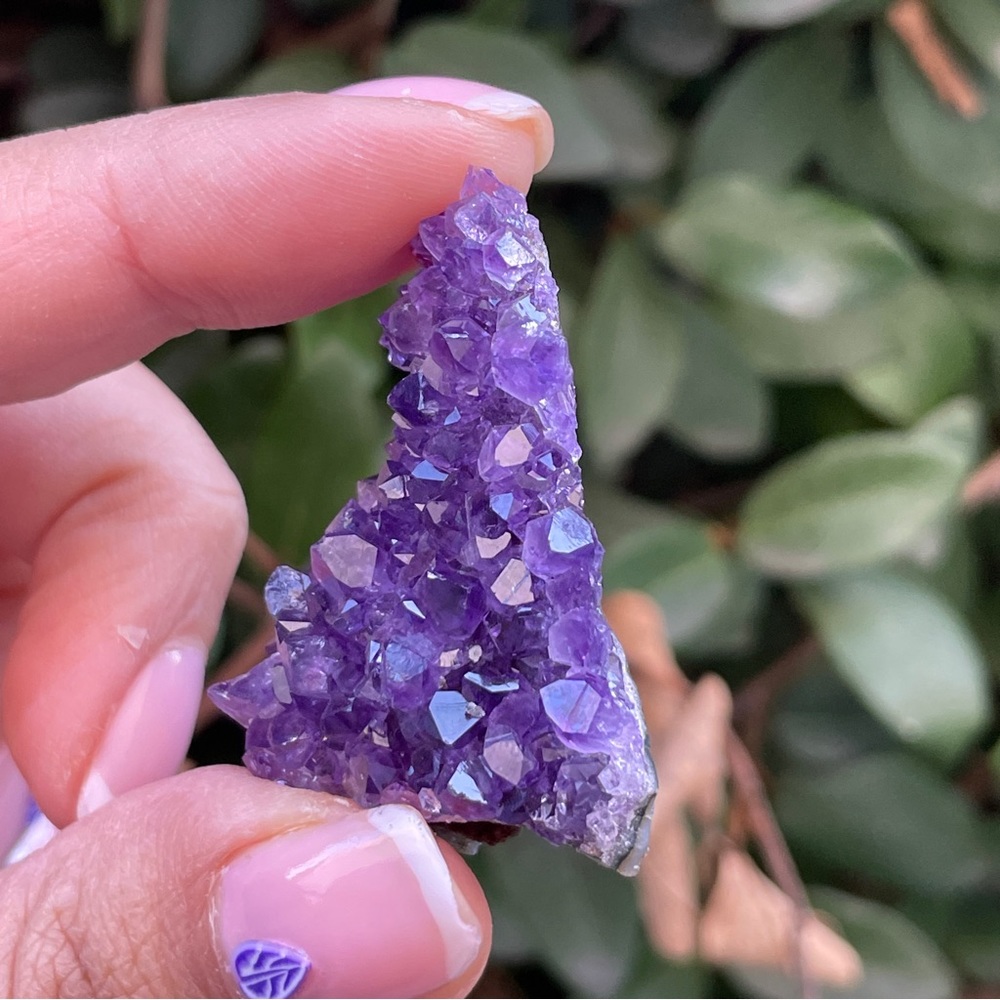 Amethyst Cluster